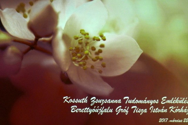 Kossuth Zsuzsanna emlékülés 2017 46